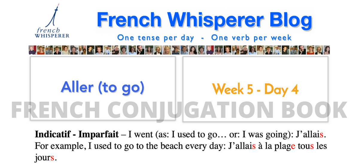 french conjugation book