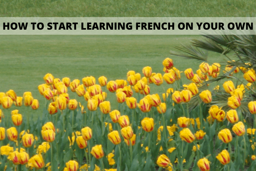 How to start learning french on your own