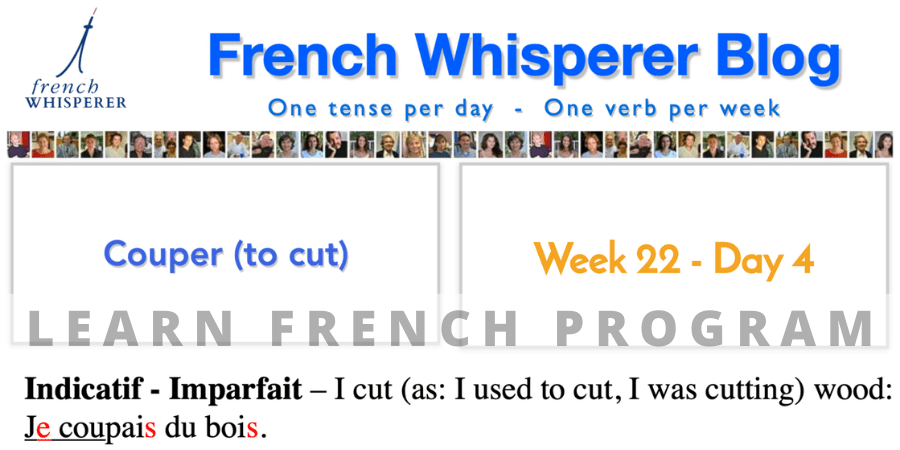 Learn french program