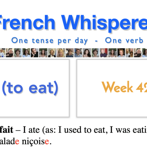 Best way to learn french verbs in 42 life-changing weeks – Week42 – Day4