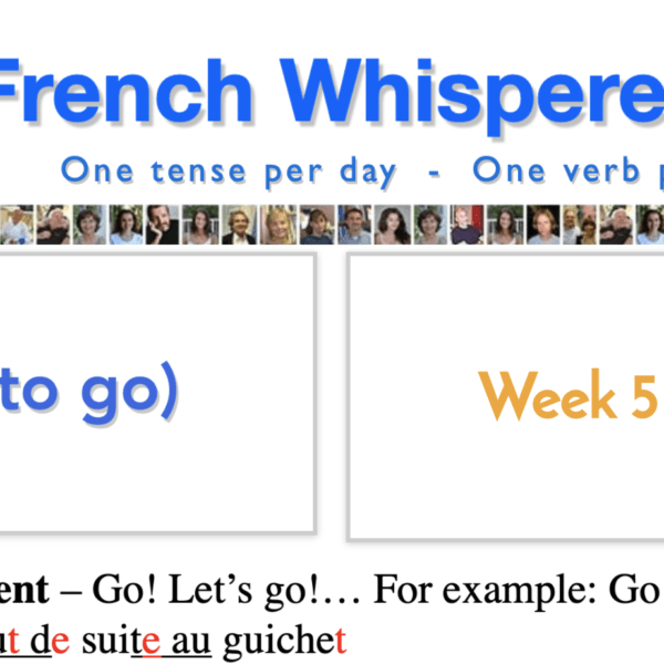 french conjugation app – 41 life-changing weeks – Week5 – Day7