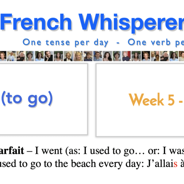 #1 life-changing french conjugation book  – Week5 – Day4