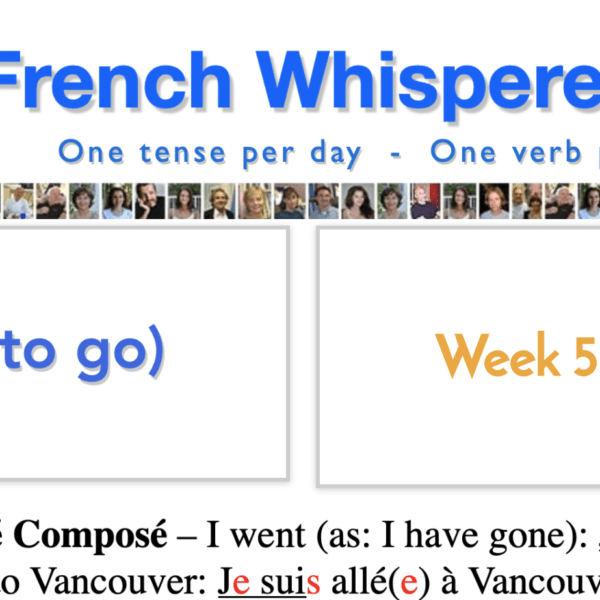 french conjugation games – 41 life-changing weeks – Week5 – Day3