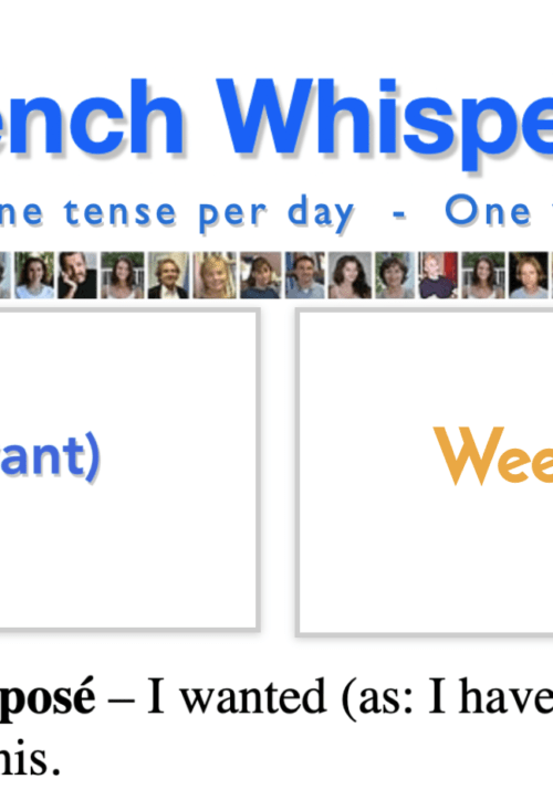 french conjugation irregular verbs