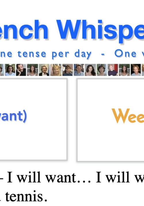 french conjugation of vouloir