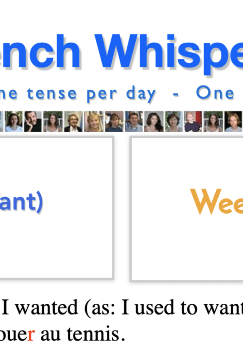 french conjugation vouloir