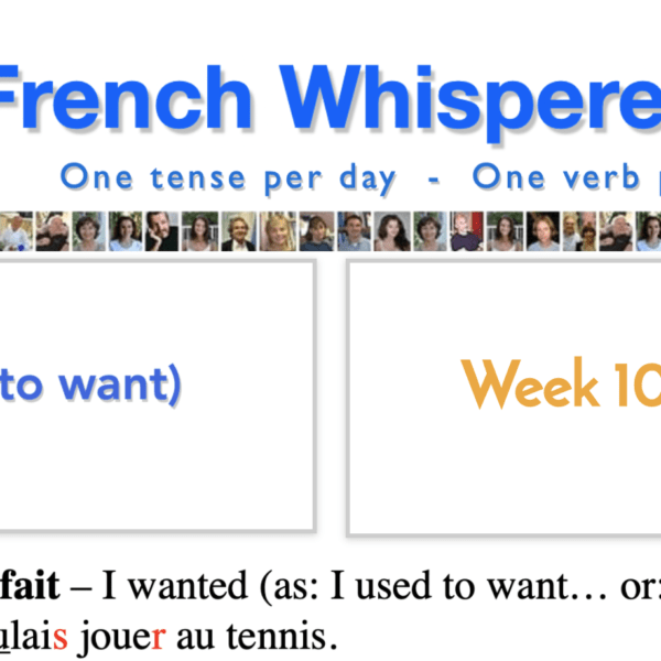 french conjugation vouloir – 41 life-changing weeks – Week10 – Day4