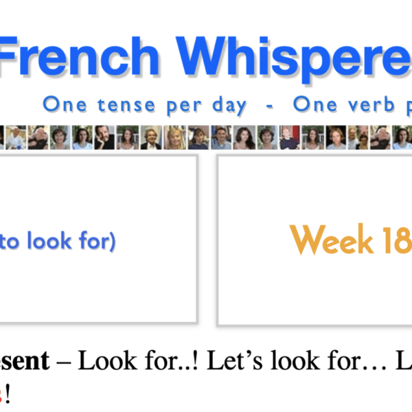 Learn french grammar online – 41 life-changing weeks – Week18 – Day7