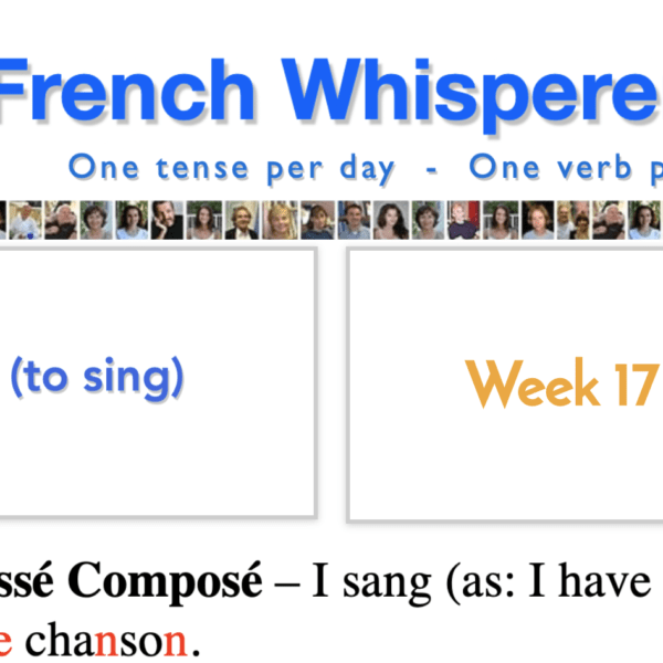 Learn french grammar pdf – 41 life-changing weeks – Week17 – Day3