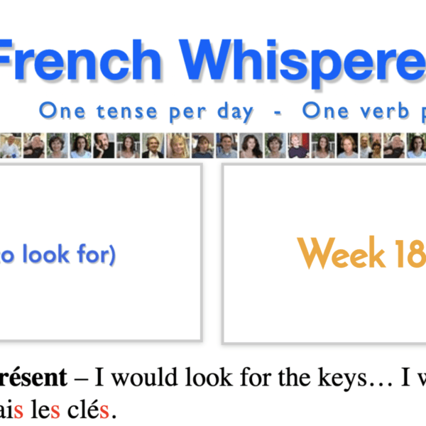 41 life-changing weeks to learn french sentences – Week18 – Day6