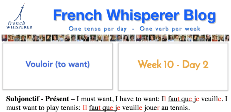 to want french conjugation